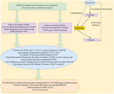 Genetically predicted causality between gut microbiota, blood metabolites, and intracerebral hemorrhage: a bidirectional Mendelian randomization study